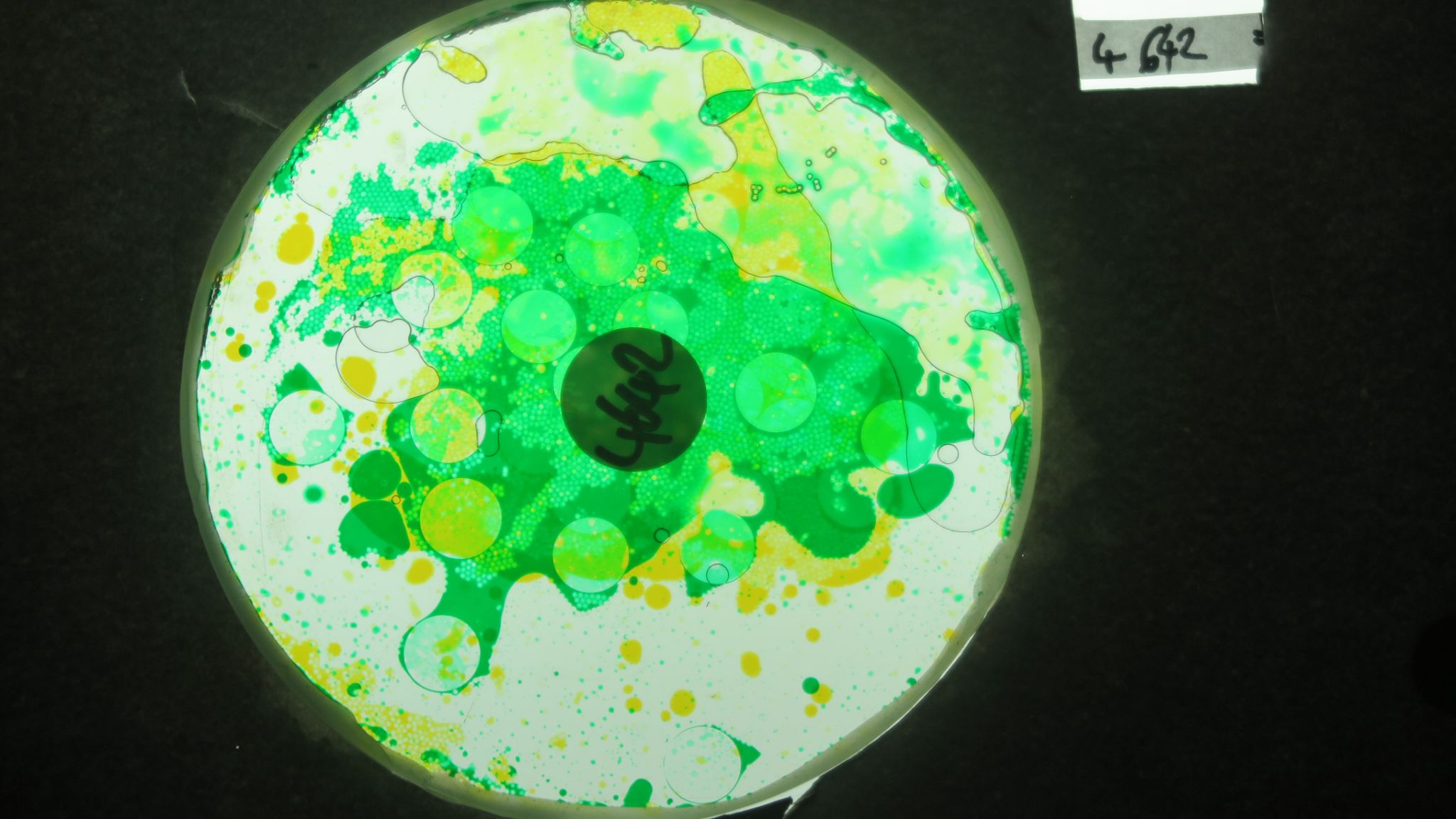 BV4642 bubble vision oil wheel